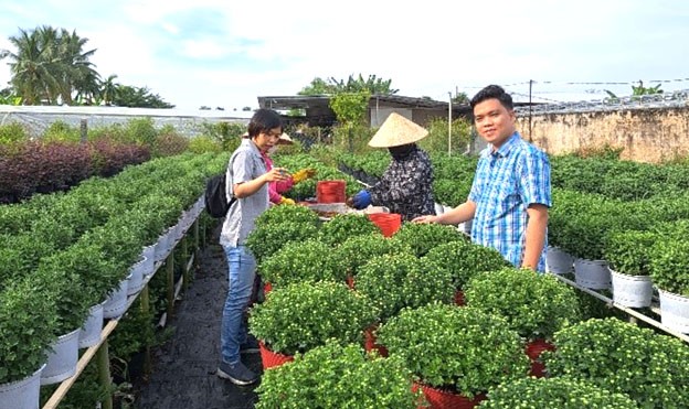 Hoa kiểng phục vụ Tết Nguyên đán Giáp Thìn - 2024