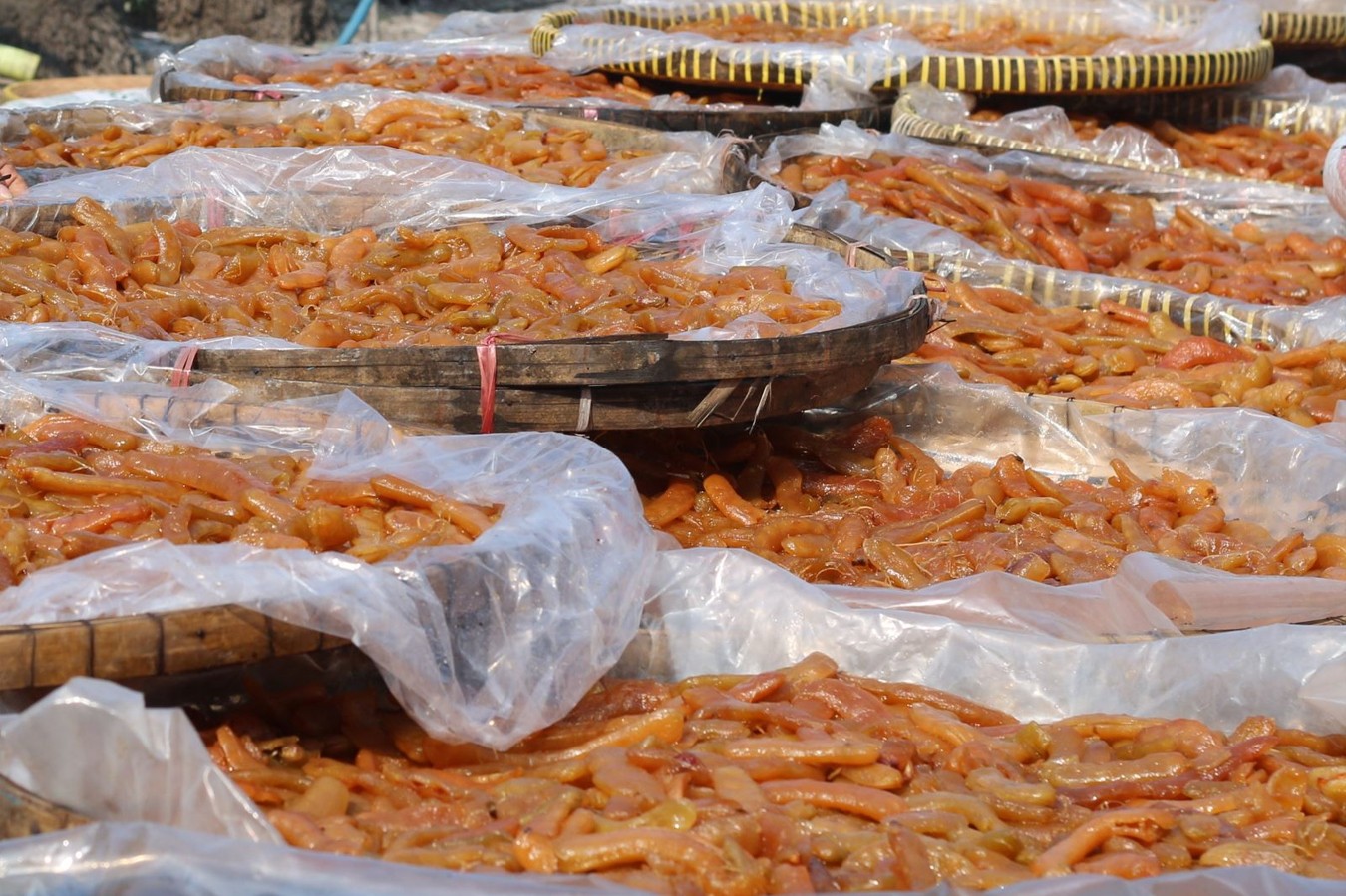 Mứt me là một trong hai loại truyền thống ở Lạc Tấn