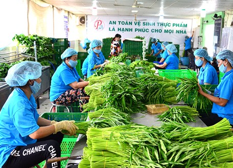 Thành phố Hồ Chí Minh tổng kết công tác khuyến nông năm 2023