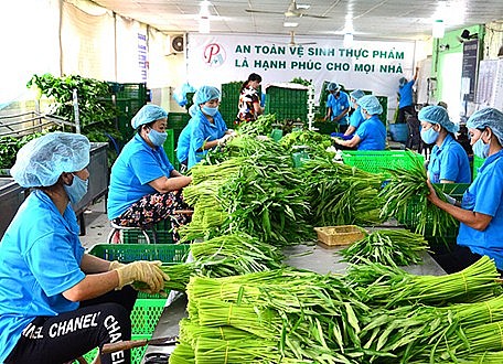 Thành phố Hồ Chí Minh tổng kết công tác khuyến nông năm 2023