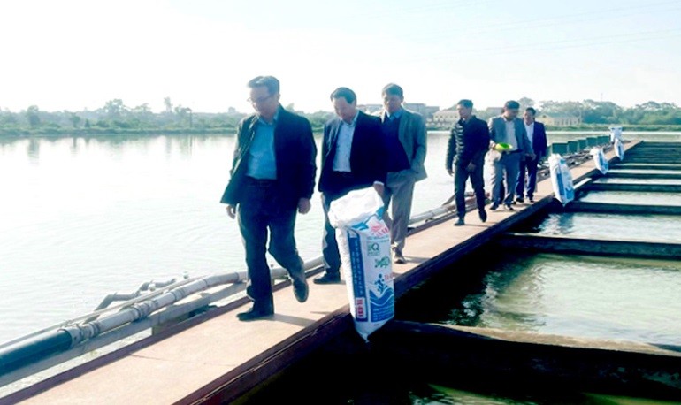 Đoàn thẩm định văn phòng điều phối Chương trình xây dựng Nông thôn mới Hà Nội thăm quan mô hình sông trong ao của HTX Thủy sản công nghệ cao Đại Áng Đoàn thẩm định văn phòng điều phối Chương trình xây dựng Nông thôn mới Hà Nội thăm quan mô hình sông trong ao của HTX Thủy sản công nghệ cao Đại Áng