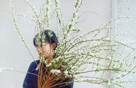 Vẻ đẹp "ngủ đông" của hoa tuyết mai