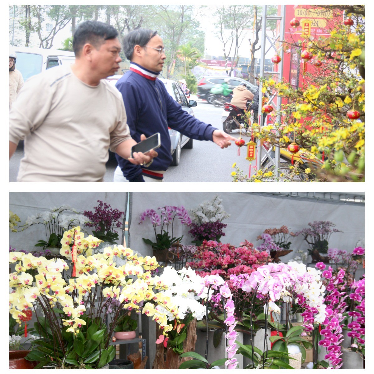 Sản vật khắp các vùng miền quy tụ tại Hội chợ Xuân Giáp Thìn 2024 Sản vật khắp các vùng miền quy tụ tại Hội chợ Xuân Giáp Thìn 2024