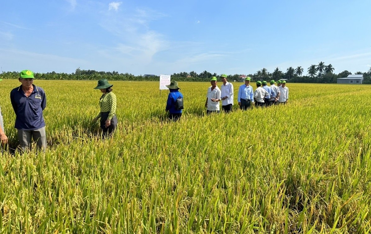 Nông dân ĐBSCL đổi đời từ nền kinh tế nông nghiệp Nông dân ĐBSCL đổi đời từ nền kinh tế nông nghiệp