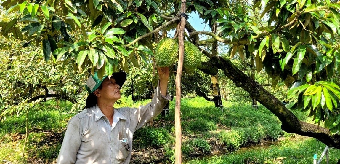 Nông dân ĐBSCL đổi đời từ nền kinh tế nông nghiệp Nông dân ĐBSCL đổi đời từ nền kinh tế nông nghiệp