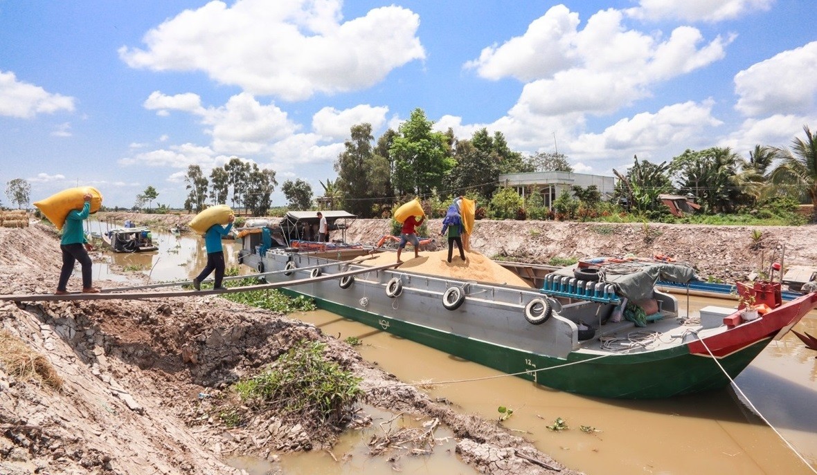 Nông dân ĐBSCL đổi đời từ nền kinh tế nông nghiệp Nông dân ĐBSCL đổi đời từ nền kinh tế nông nghiệp