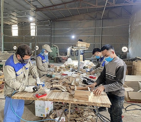 Chuyển đổi số giúp đẩy mạnh tiêu thụ sản phẩm OCOP