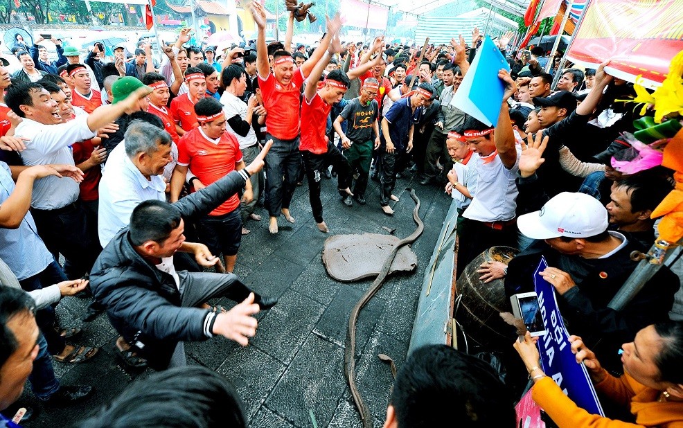 Đặc sắc sản vật OCOP Hải Dương Đặc sắc sản vật OCOP Hải Dương