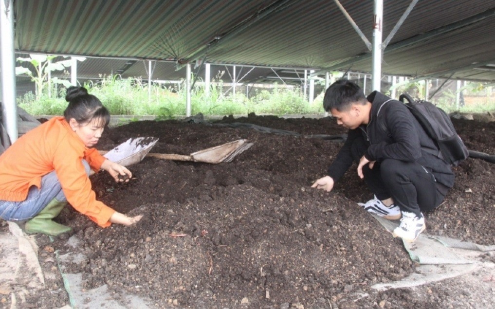 Nam Định: Mô hình sản xuất nông nghiệp tuần hoàn mang lại hiệu quả kinh tế - xã hội cao. Nam Định: Mô hình sản xuất nông nghiệp tuần hoàn mang lại hiệu quả kinh tế - xã hội cao.