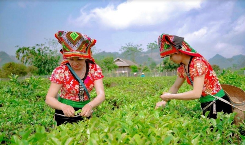 Sơn La: Khai thác tối đa tiềm năng xây dựng nông thôn mới