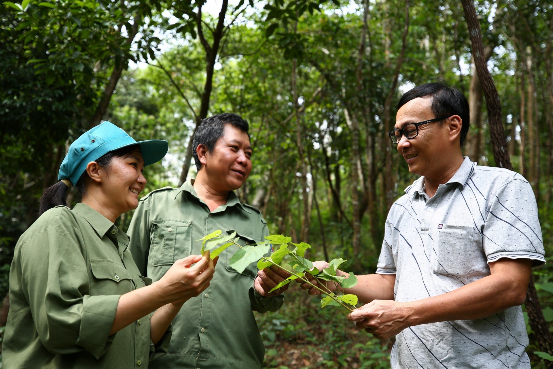 Làm mới giải pháp phát triển Lâm nghiệp Việt Nam