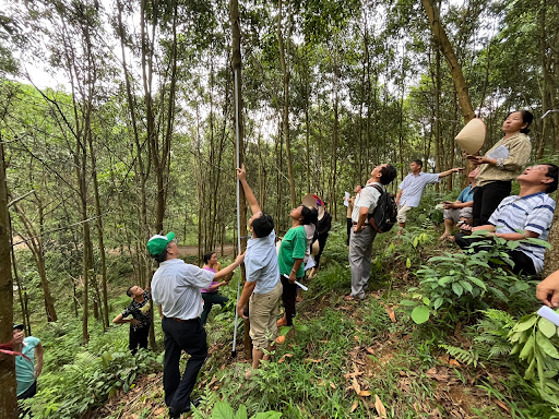 Làm mới giải pháp phát triển Lâm nghiệp Việt Nam