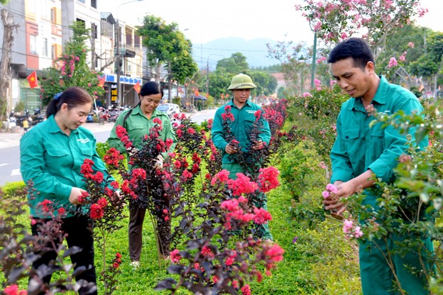 Tuyến đường trung tâm huyện Quang Bình trồng hoa Tường Vi cải tạo cảnh quan sáng, xanh, sạch, đẹp. Tuyến đường trung tâm huyện Quang Bình trồng hoa Tường Vi cải tạo cảnh quan sáng, xanh, sạch, đẹp.