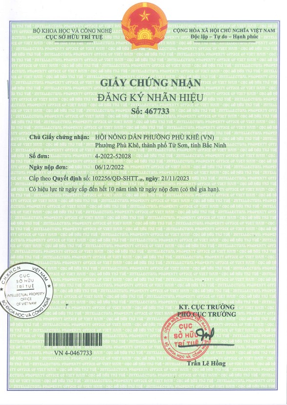 Bảo hộ nhãn hiệu tập thể: Cơ hội cho đồ gỗ mỹ nghệ Phù Khê phát triển Bảo hộ nhãn hiệu tập thể: Cơ hội cho đồ gỗ mỹ nghệ Phù Khê phát triển