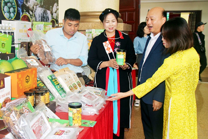 Các HTX phát triển sản phẩm OCOP từ cây dược liệu trên địa bàn huyện Sơn Động tham gia hội chợ xúc tiến thương mại. Các HTX phát triển sản phẩm OCOP từ cây dược liệu trên địa bàn huyện Sơn Động tham gia hội chợ xúc tiến thương mại.