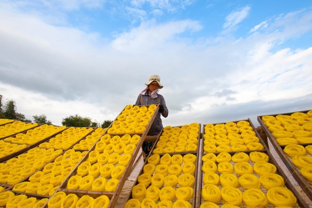 Mỗi năm, làng nghề bún, bánh An Thái cung ứng ra thị trường hơn 2.200 tấn bánh tráng, bún khô, bún song thằn, doanh thu đạt hơn 60 tỷ đồng. Mỗi năm, làng nghề bún, bánh An Thái cung ứng ra thị trường hơn 2.200 tấn bánh tráng, bún khô, bún song thằn, doanh thu đạt hơn 60 tỷ đồng.
