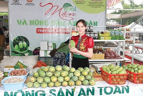 son la thuan chau nang cao chat luong cac san pham ocop