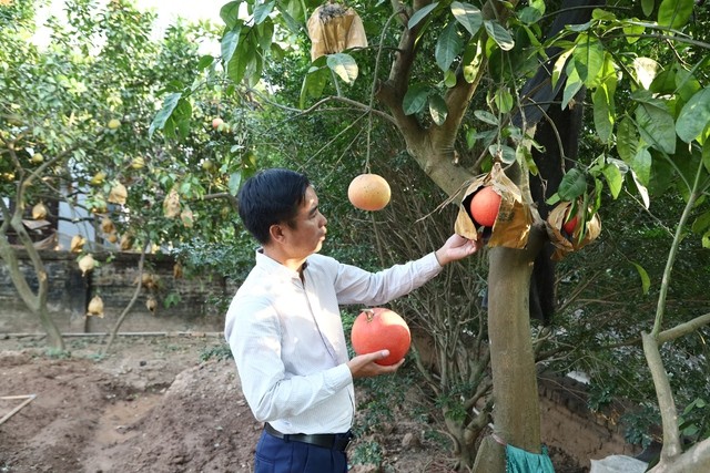 Mê Linh: Tích cực sản xuất đầu Xuân tạo sức bật cho cho cả năm Mê Linh: Tích cực sản xuất đầu Xuân tạo sức bật cho cho cả năm