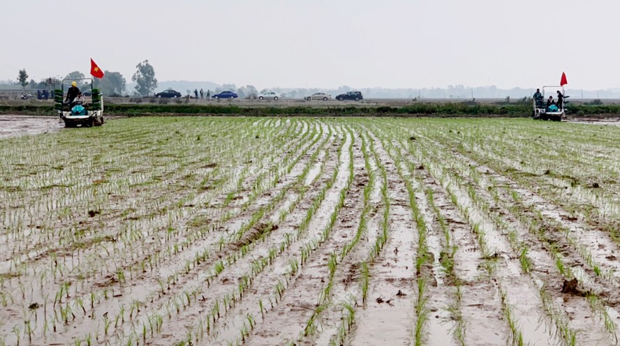 Mê Linh: Tích cực sản xuất đầu Xuân tạo sức bật cho cho cả năm Mê Linh: Tích cực sản xuất đầu Xuân tạo sức bật cho cho cả năm