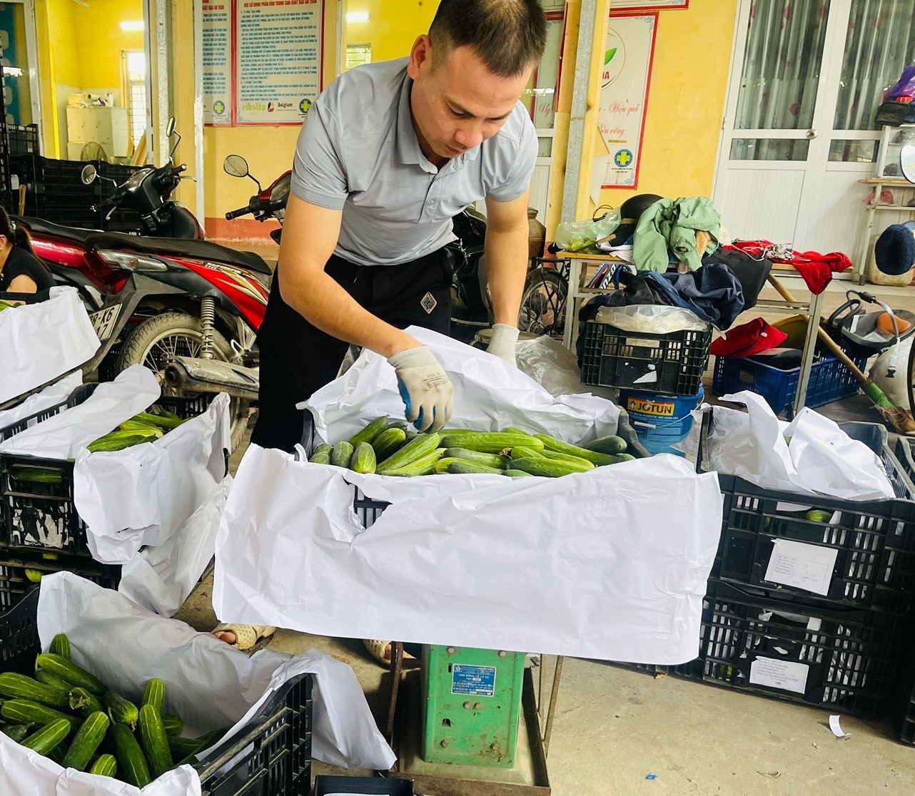 Tuyên Quang - Khởi nghiệp từ sản phẩm OCOP