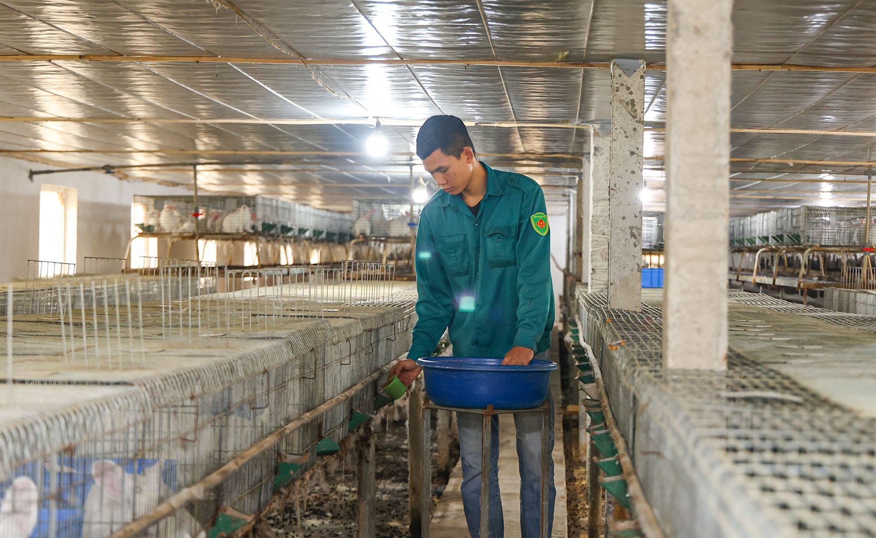 Anh Ngô Văn Đạt ở xã Đạo Trù, huyện Tam Đảo đầu tư xây dựng hệ thống chuồng nuôi gần 1 nghìn con thỏ trắng Newzealand mang lại hiệu quả kinh tế cao. Ảnh: Trà Hương Anh Ngô Văn Đạt ở xã Đạo Trù, huyện Tam Đảo đầu tư xây dựng hệ thống chuồng nuôi gần 1 nghìn con thỏ trắng Newzealand mang lại hiệu quả kinh tế cao. Ảnh: Trà Hương