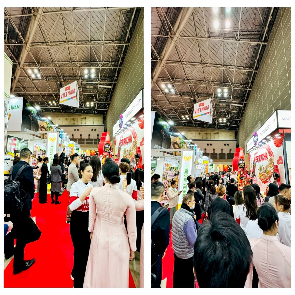 Hội chợ Foodex Japan 2024 – “Cơ hội vàng” cho doanh nghiệp Việt Nam
