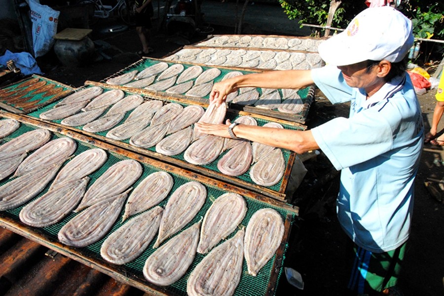 Khô rắn được phơi dưới nắng tốt