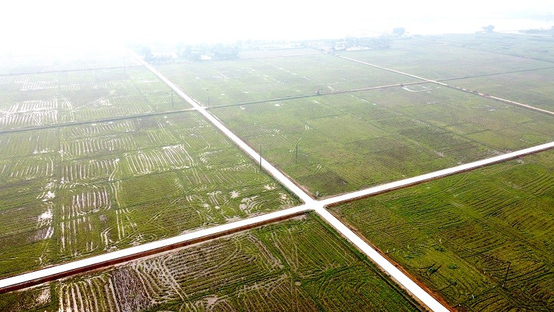 Đường giao thông nội đồng xã Đoan Hạ.