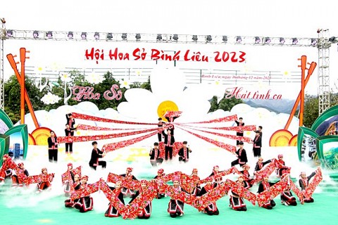 Bình Liêu phấn đấu đạt huyện Nông thôn mới nâng cao