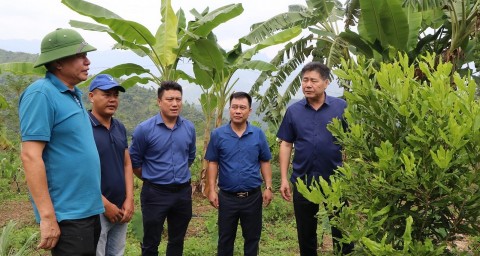 Yên Bái: thực hiện xây dựng chương trình khuyến nông giai đoạn 2026 - 2030