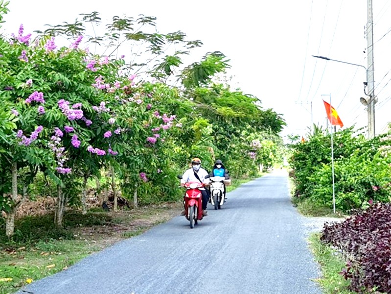 Đường giao thông ở những vùng quê nông thôn mới Bạc Liêu giờ đã được bê tông hóa, xanh - sạch - đẹp. Đường giao thông ở những vùng quê nông thôn mới Bạc Liêu giờ đã được bê tông hóa, xanh - sạch - đẹp.