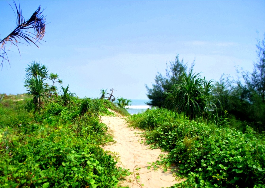 Một con đường ra biển còn lắm hoang sơ. Một con đường ra biển còn lắm hoang sơ.