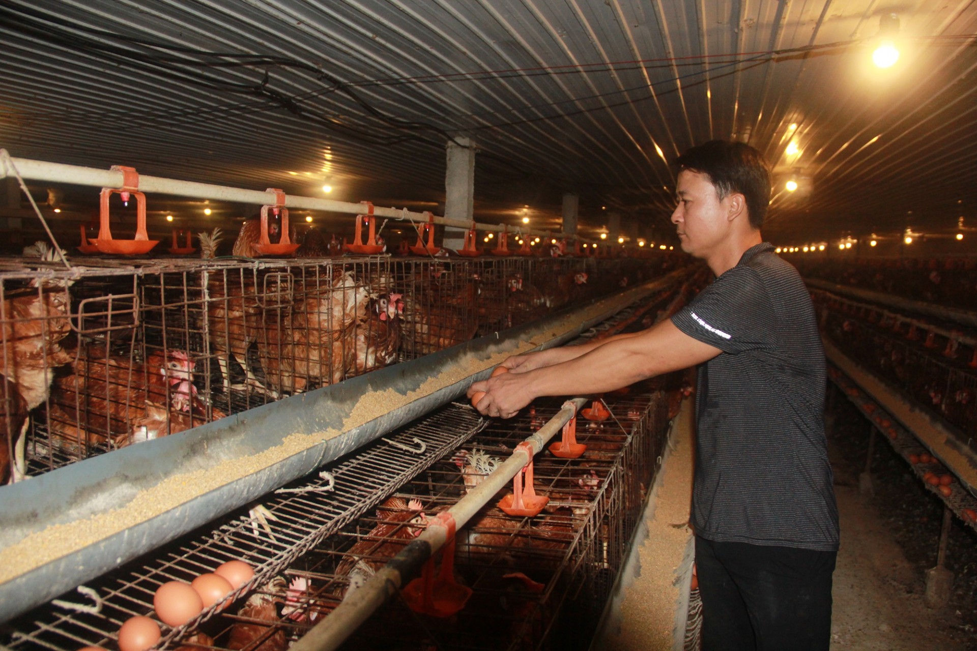 Đa dạng hoá sinh kế để giảm nghèo bền vững được xem là giải pháp hữu hiệu trong thực hiện Chương trình mục tiêu quốc gia (MTQG) giảm nghèo bền vững