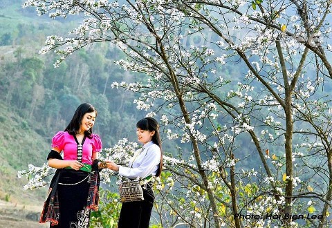 le hoi ve mien hoa ban gioi thieu cac san pham ocop san pham lang nghe truyen thong
