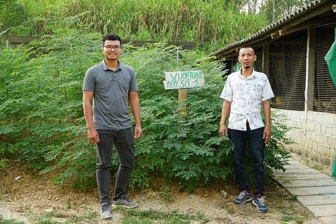 Từ bỏ lương kỹ sư điện ở Thành phố, chàng trai về quê nuôi gà thảo dược