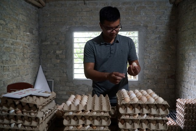 Từ bỏ lương kỹ sư điện ở Thành phố, chàng trai về quê nuôi gà thảo dược