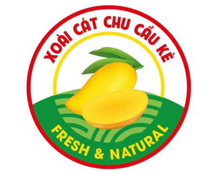 Xây dựng thương hiệu riêng cho xoài cát chu Cầu Kè
