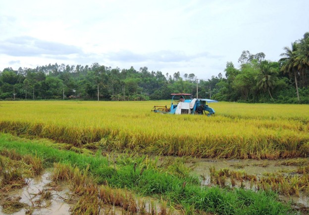 Cơ giới hóa nông nghiệp