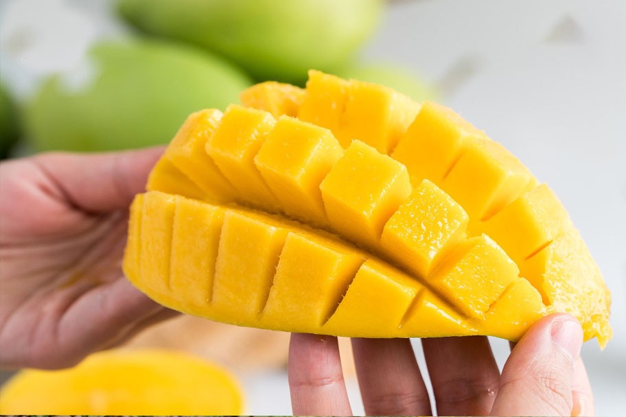 Xây dựng thương hiệu riêng cho xoài cát chu Cầu Kè Xây dựng thương hiệu riêng cho xoài cát chu Cầu Kè