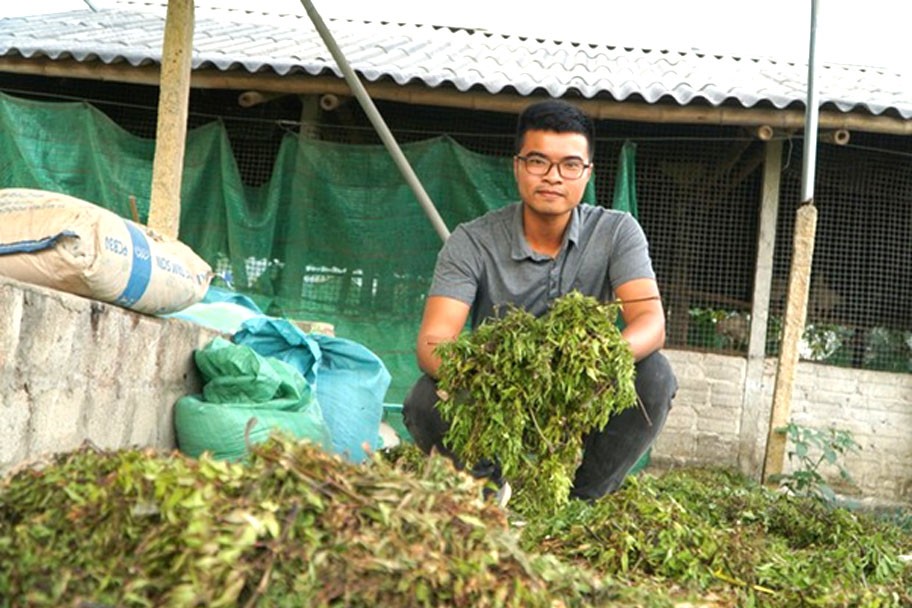 Anh Hà Minh Nguyện trong tay đang giới thiệu về cây thảo dược để nuôi gà. Anh Hà Minh Nguyện trong tay đang giới thiệu về cây thảo dược để nuôi gà.