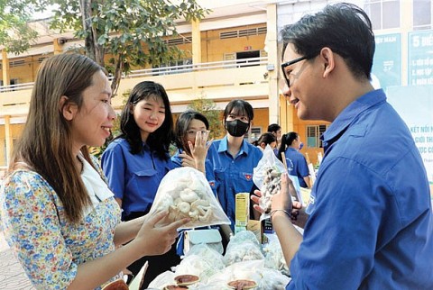tp ho chi minh khich le tuoi tre xa y du ng no ng tho n mo i trong thang thanh nien 2024