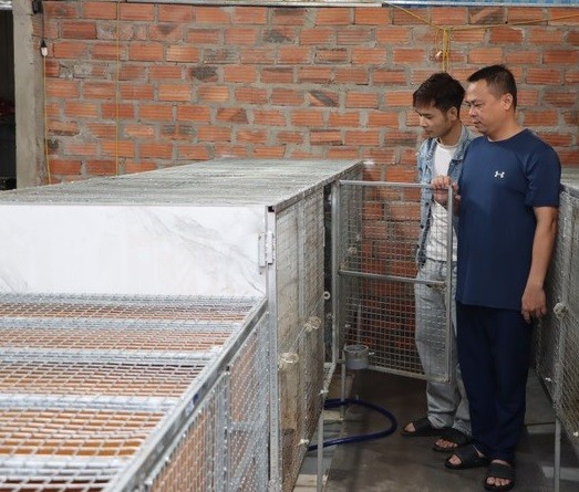 Mô hình nuôi chồn hương sinh sản của anh Hoàng Văn Vũ (thị trấn Cẩm Xuyên, Cẩm Xuyên Hà Tĩnh)