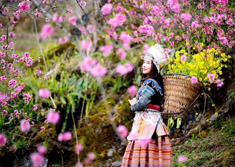 Hà Giang: Khởi sắc mô hình du lịch nông nghiệp