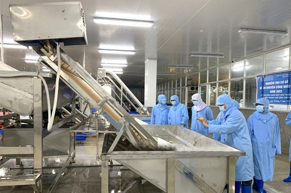 Nghiệm thu Đề án “Hỗ trợ ứng dụng máy móc thiết bị tiên tiến trong chế biến thủy sản” tại Công ty TNHH MTV Thanh Phu (huyện Hòa Bình). Nghiệm thu Đề án “Hỗ trợ ứng dụng máy móc thiết bị tiên tiến trong chế biến thủy sản” tại Công ty TNHH MTV Thanh Phu (huyện Hòa Bình).