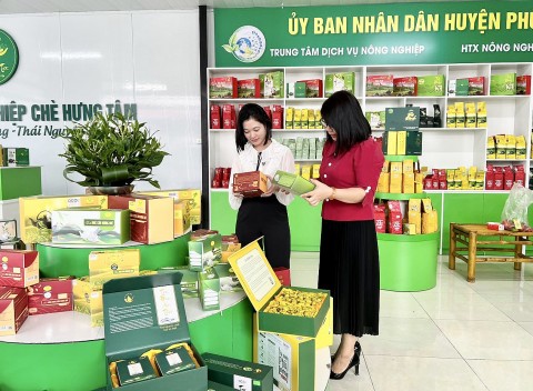 Phú Lương: Tập trung nâng cao chất lượng sản phẩm OCOP