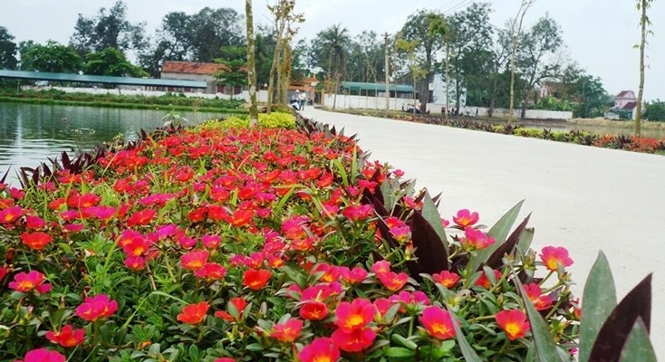 Nghệ An thêm 10 xã đạt chuẩn nông thôn mới và nông thôn mới nâng cao