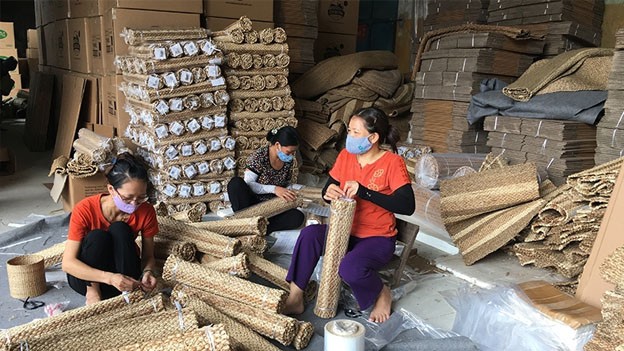 Nghề đan cói truyền thống ở huyện Nga Sơn, tỉnh Thanh Hóa đã xây dựng được thương hiệu và có chỗ đứng trên thị trường trong và ngoài nước