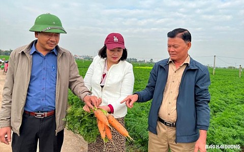 Hải Dương: Cẩm Giàng phấn đấu đạt huyện nông thôn mới nâng cao
