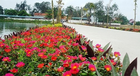 Nghệ An thêm 10 xã đạt chuẩn nông thôn mới và nông thôn mới nâng cao