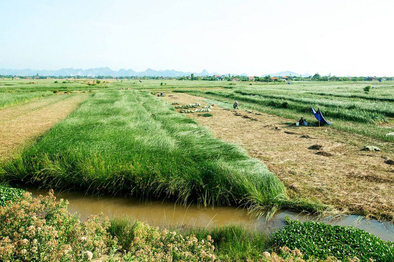 Phát triển làng nghề trên địa bàn tỉnh Thanh Hóa trong bối cảnh mới Phát triển làng nghề trên địa bàn tỉnh Thanh Hóa trong bối cảnh mới